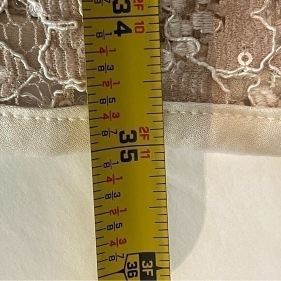 Honey And Rosie Embroidered Cream & Tan‎ Lace w/Sequins Party Event Dress Size 1 - Picture 13 of 13